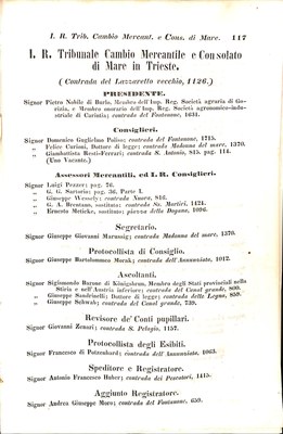 Scematismo dell'I. R. Litorale Austro-Illirico ed unitovi Indicatore generale della Città di Tr  · Str. 137