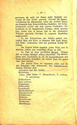 Führer für Pola und Umgebung · Str. 20