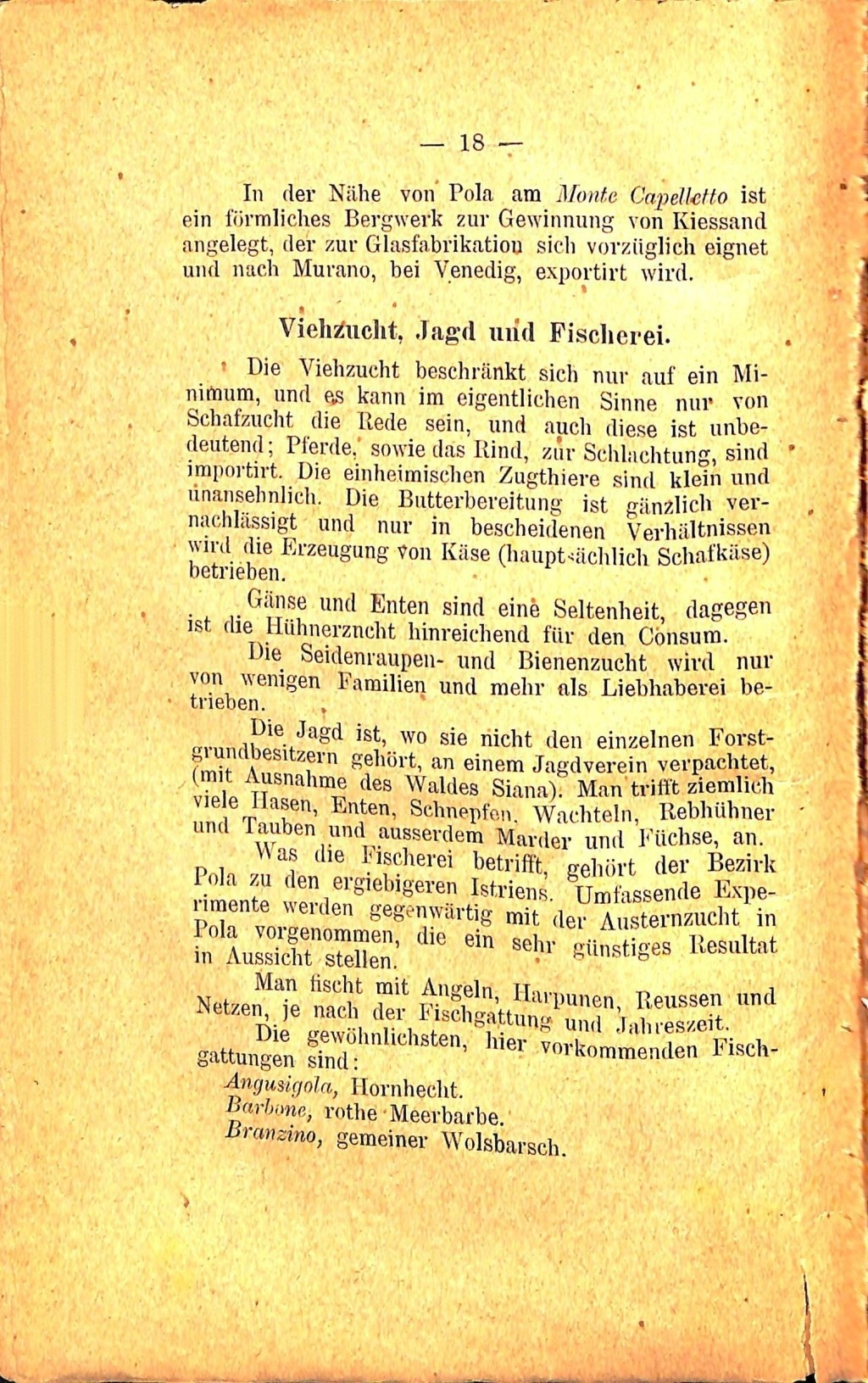 Führer für Pola und Umgebung · Str. 22