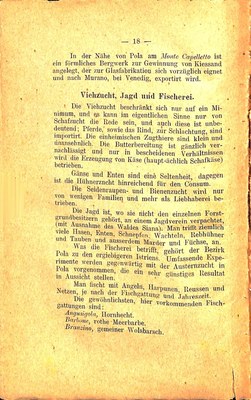 Führer für Pola und Umgebung · Str. 22
