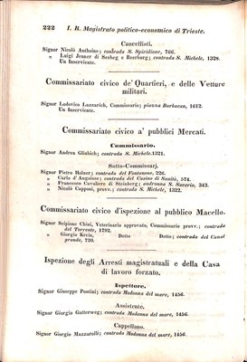 Scematismo dell'I. R. Litorale Austro-Illirico ed unitovi Indicatore generale della Città di Tr  · Str. 242