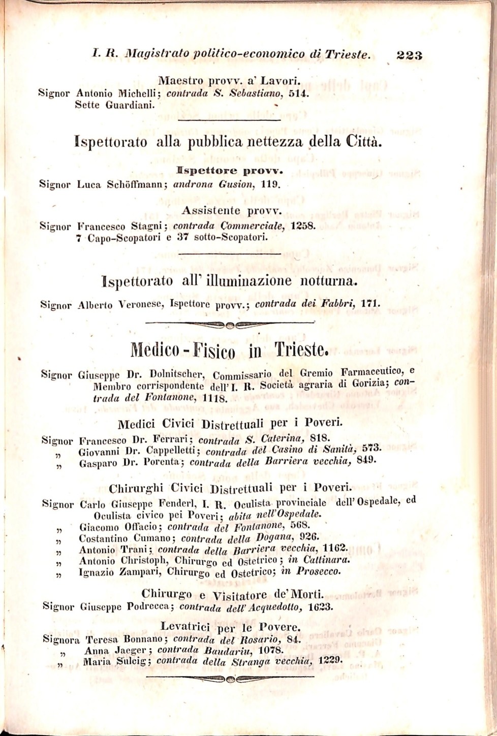 Scematismo dell'I. R. Litorale Austro-Illirico ed unitovi Indicatore generale della Città di Tr  · Str. 243