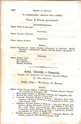 Scematismo dell'I. R. Litorale Austro-Illirico ed unitovi Indicatore generale della Città di Tr  · Str. 288
