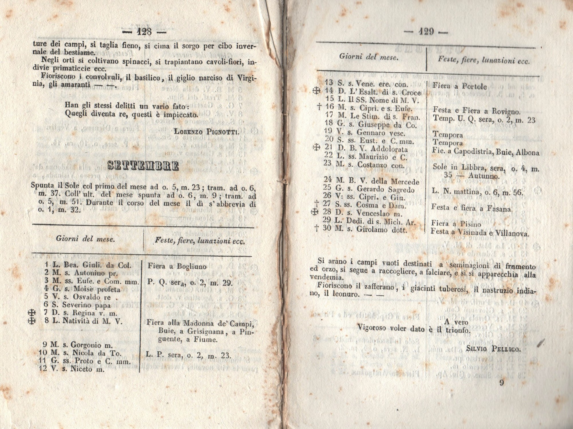 Almanacco 64