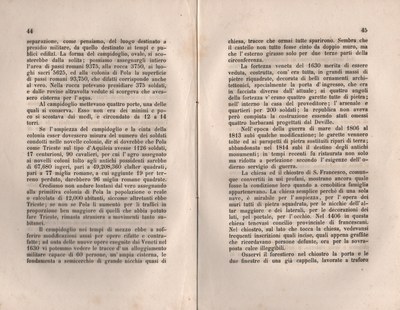 Forestiero 104