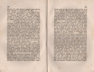 Forestiero 133