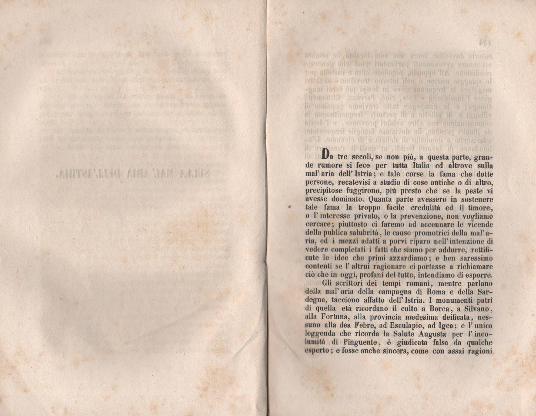 Forestiero 153