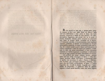 Forestiero 153