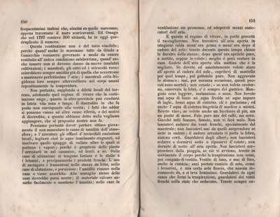 Forestiero 157