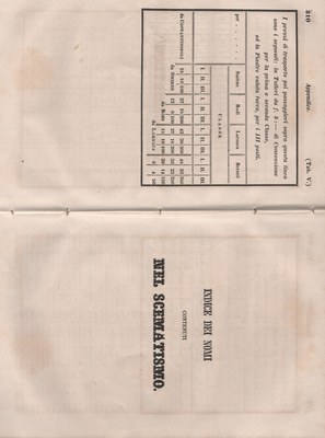 Manuale 161