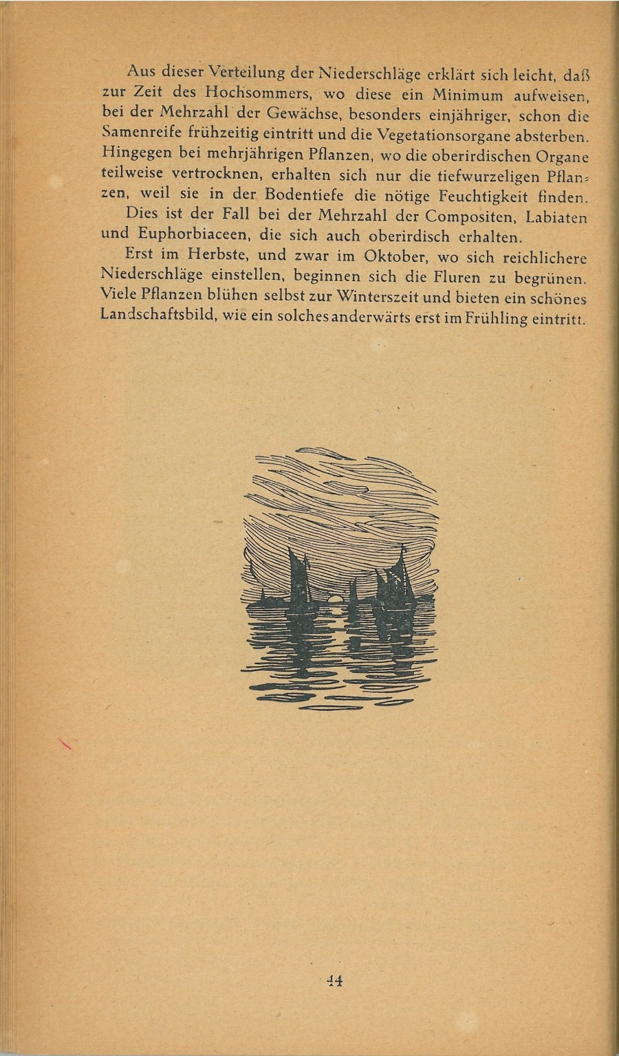 Führer durch Brioni · Str. 46