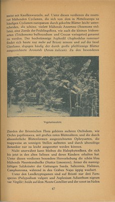 Führer durch Brioni · Str. 49