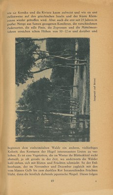Führer durch Brioni · Str. 51