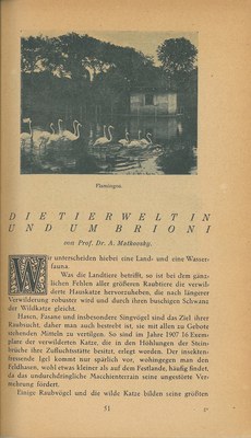 Führer durch Brioni · Str. 53