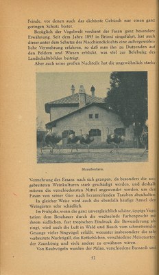 Führer durch Brioni · Str. 54