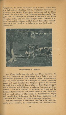 Führer durch Brioni · Str. 55