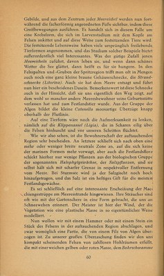 Führer durch Brioni · Str. 62