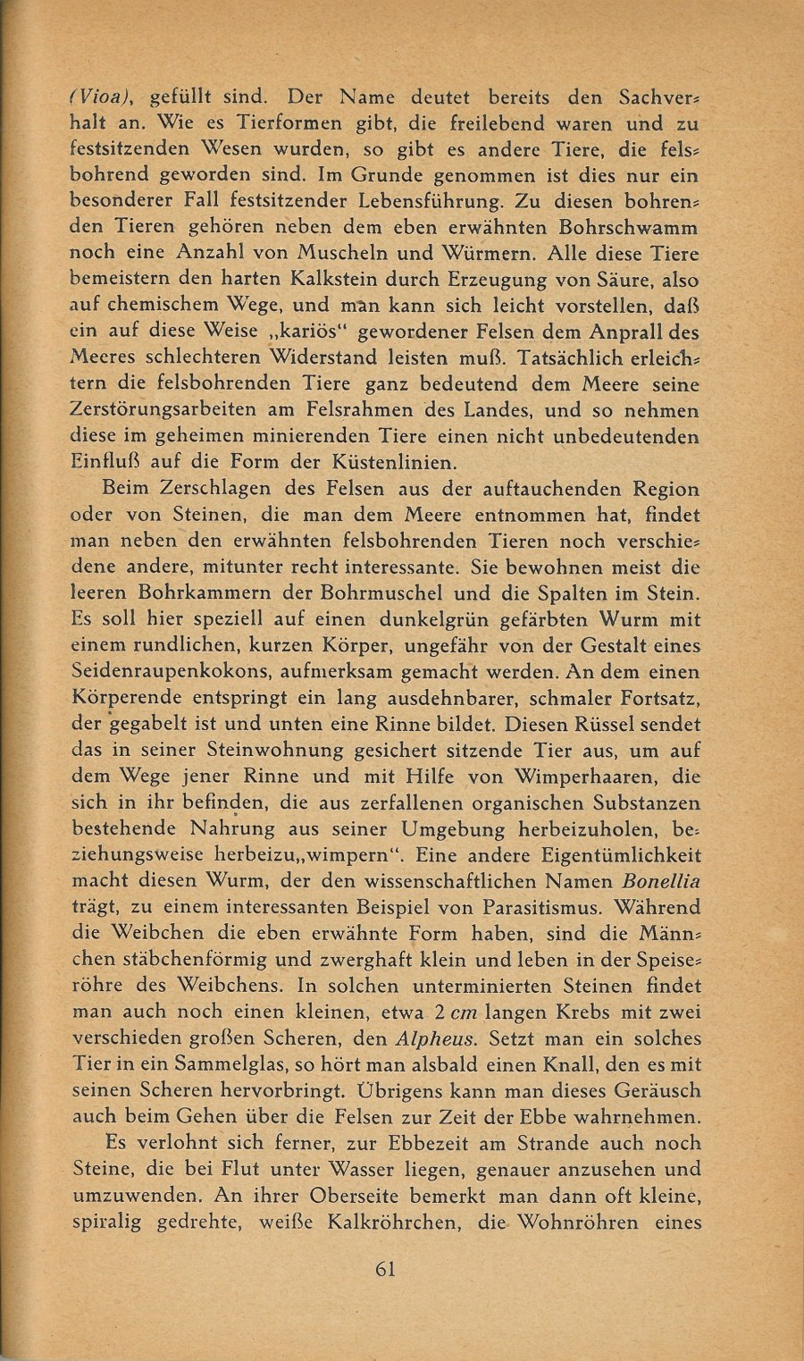 Führer durch Brioni · Str. 63