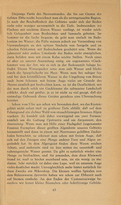 Führer durch Brioni · Str. 65