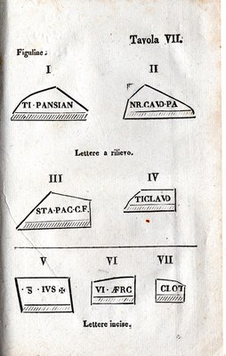 Stranica 81