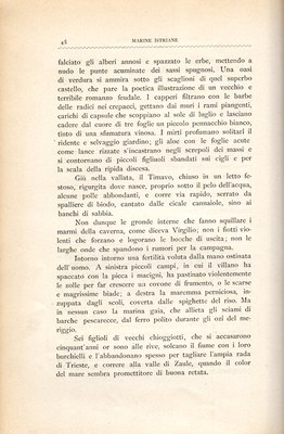 Stranica 53