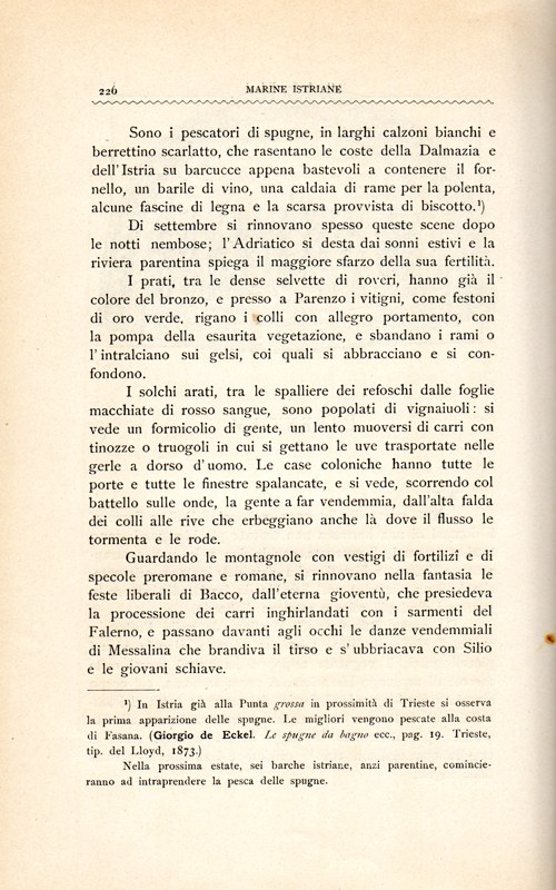 Stranica 231