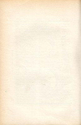 Stranica 341