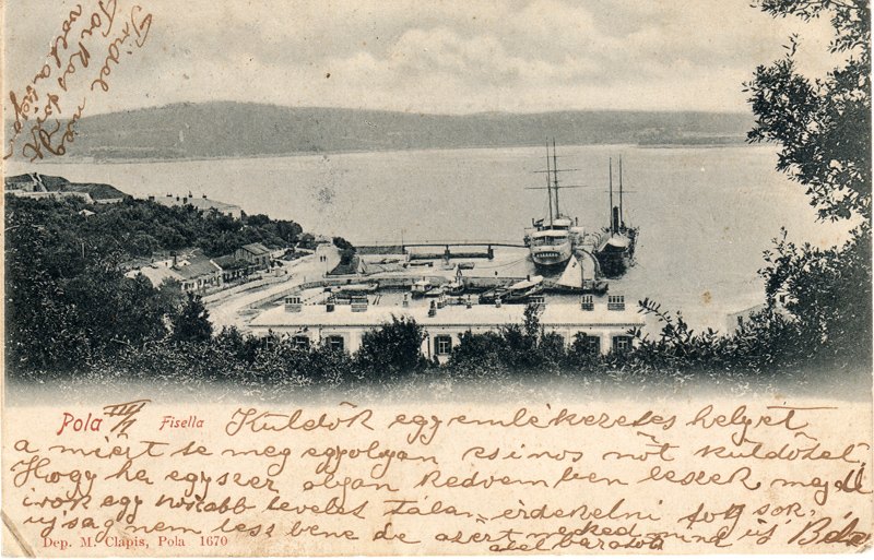 Pola : Fisella