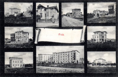 Pola