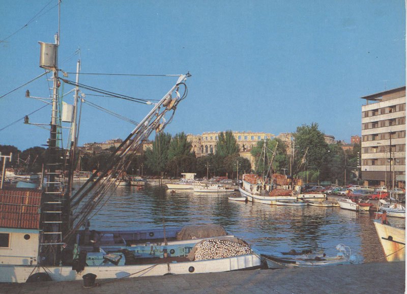 Razglednica 205