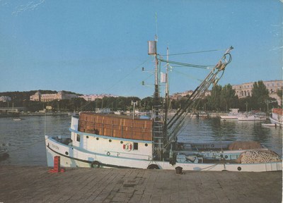 Razglednica 206