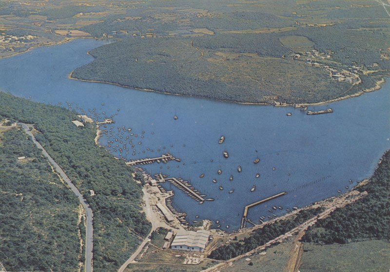 Razglednica 236