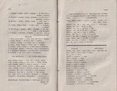 ricsoslovnik 24