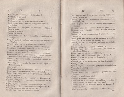 ricsoslovnik 60