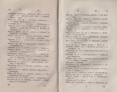 ricsoslovnik 80