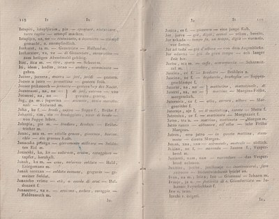 ricsoslovnik 106
