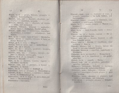 ricsoslovnik 132