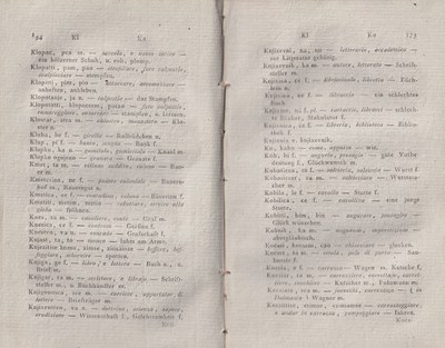 ricsoslovnik 133