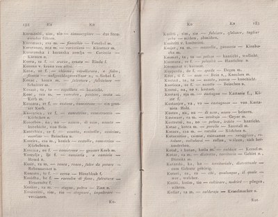 ricsoslovnik 138