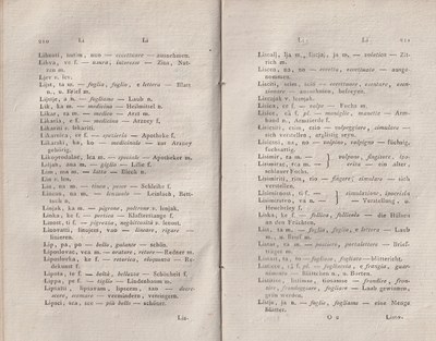 ricsoslovnik 151