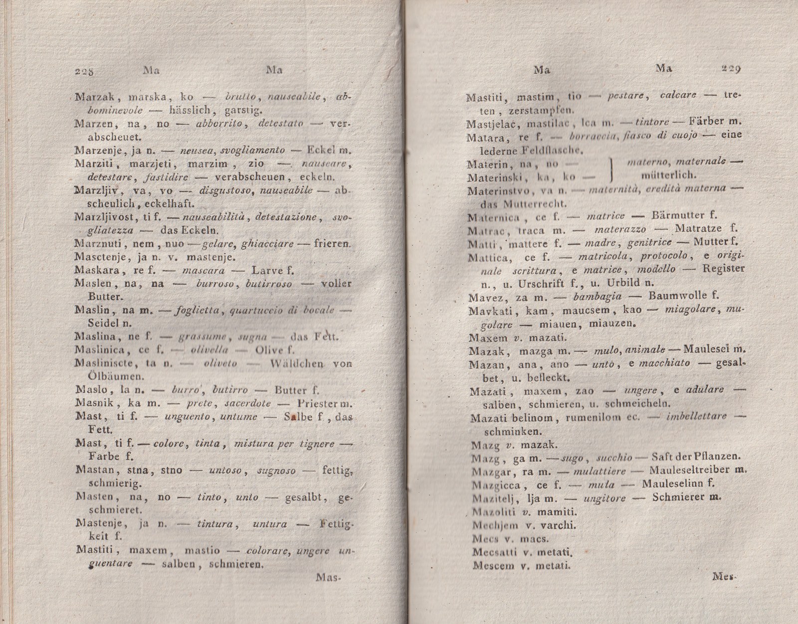 ricsoslovnik 160