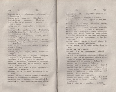 ricsoslovnik 163