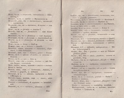 ricsoslovnik 171