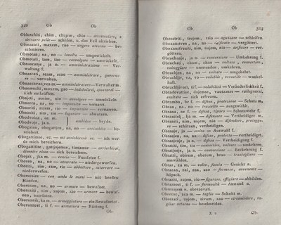 ricsoslovnik 207
