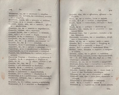 ricsoslovnik 210