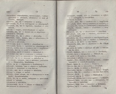 ricsoslovnik 216