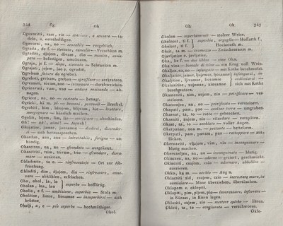 ricsoslovnik 218