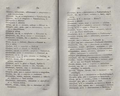 ricsoslovnik 219