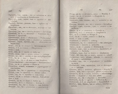 ricsoslovnik 223