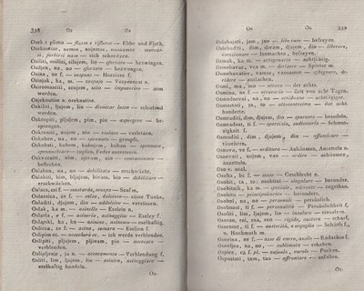 ricsoslovnik 224